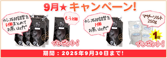 キャンペーン