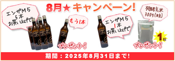 キャンペーン